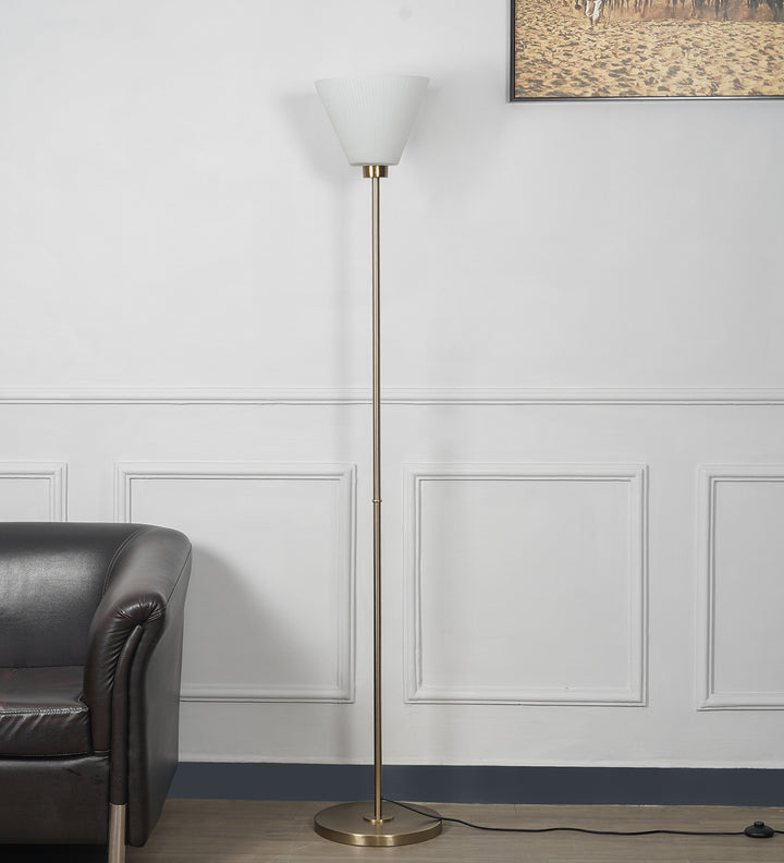 RISE Single Light uplighter Floor Lamp In Brass Finish