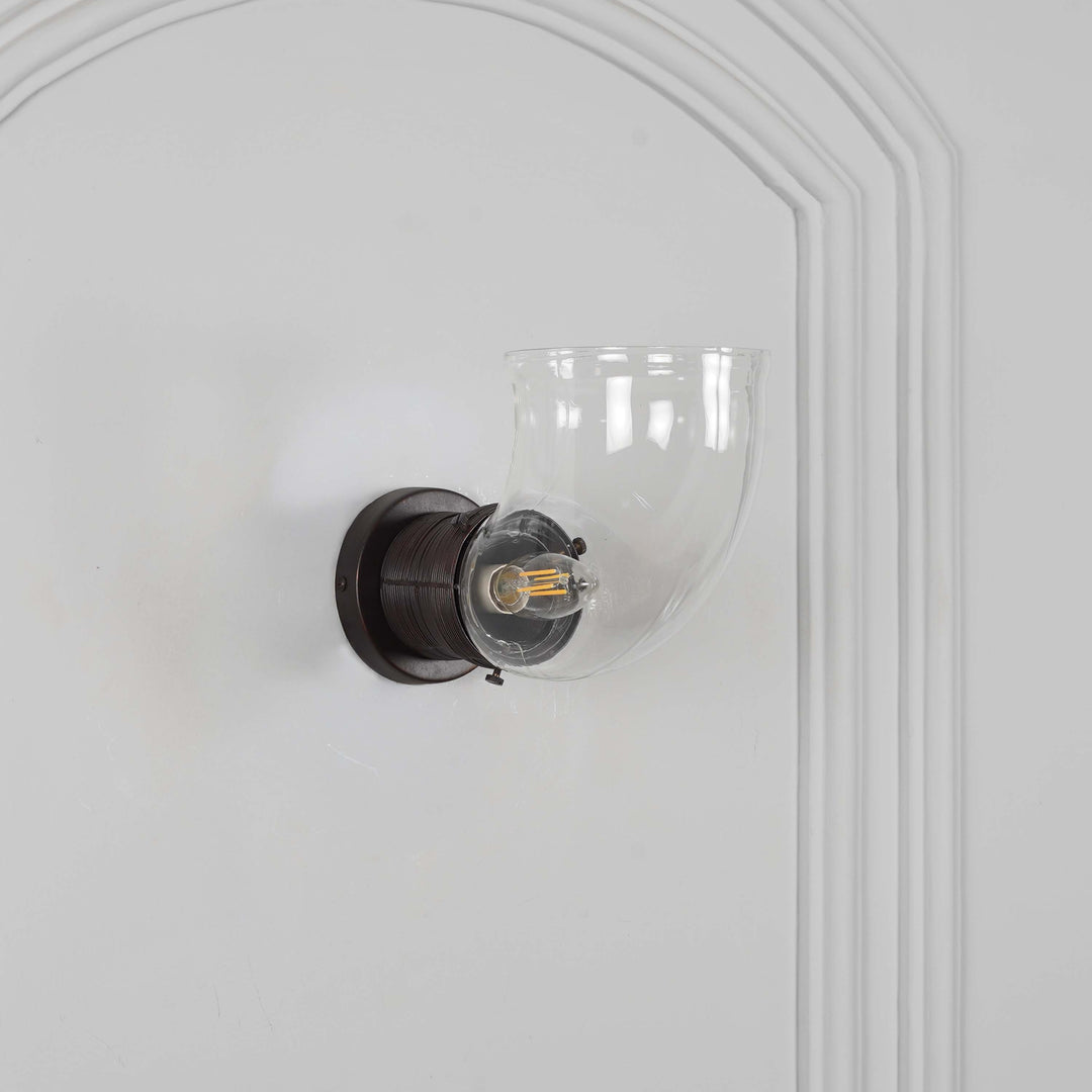 HOSLAY  Clear Glass With Black Finish Metal Wall Light
