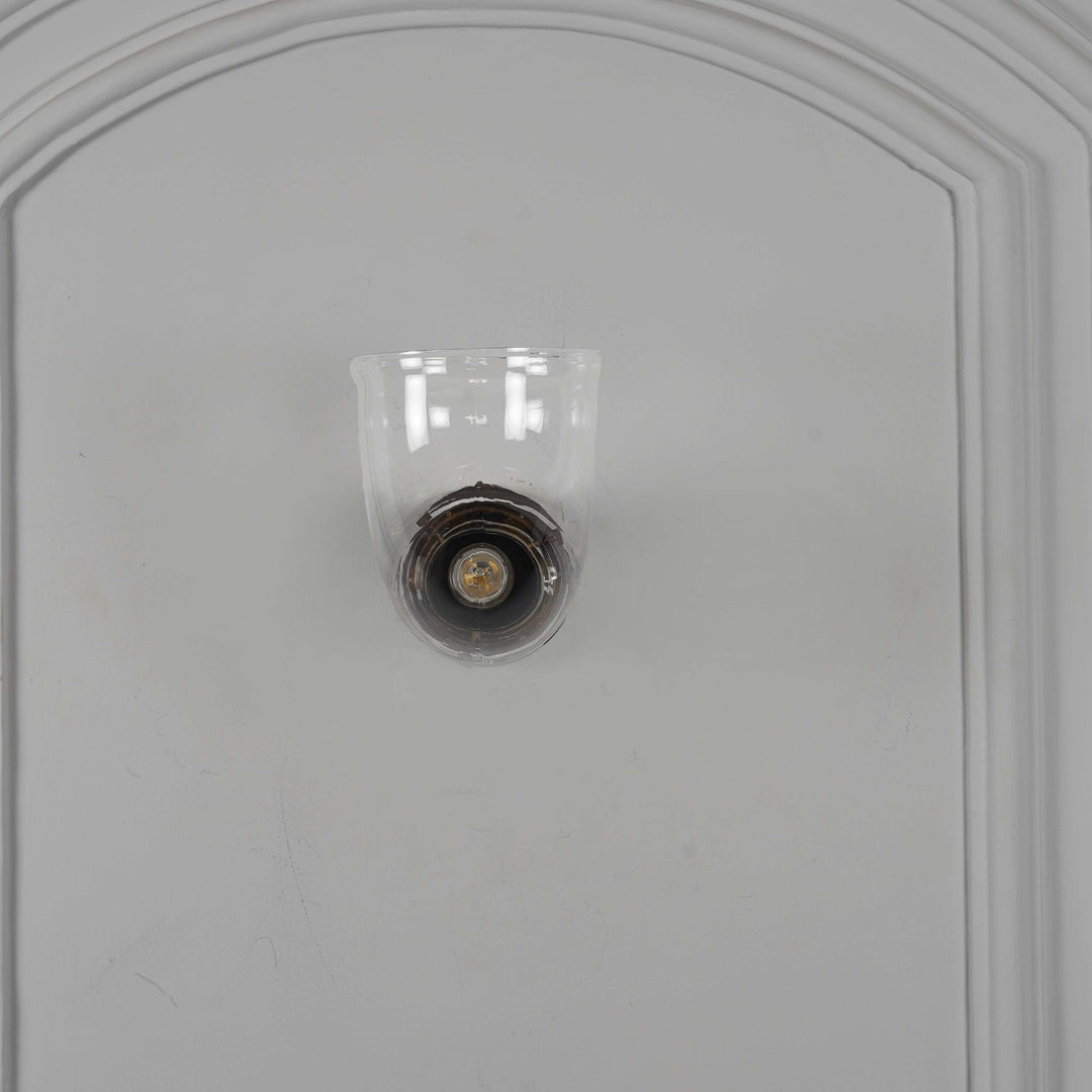 HOSLAY  Clear Glass With Black Finish Metal Wall Light