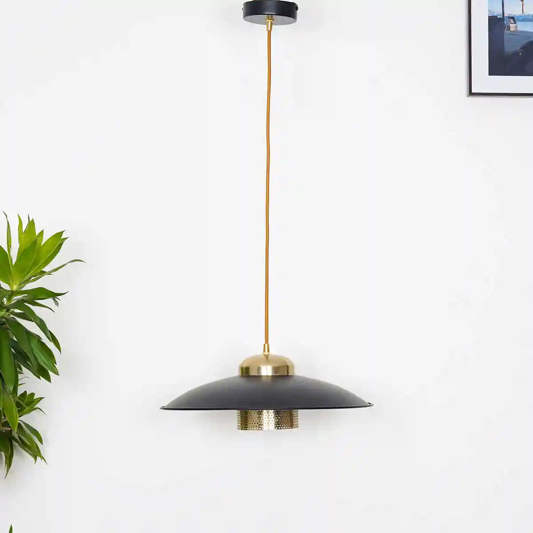 Arvin Black Metal Hanging Light