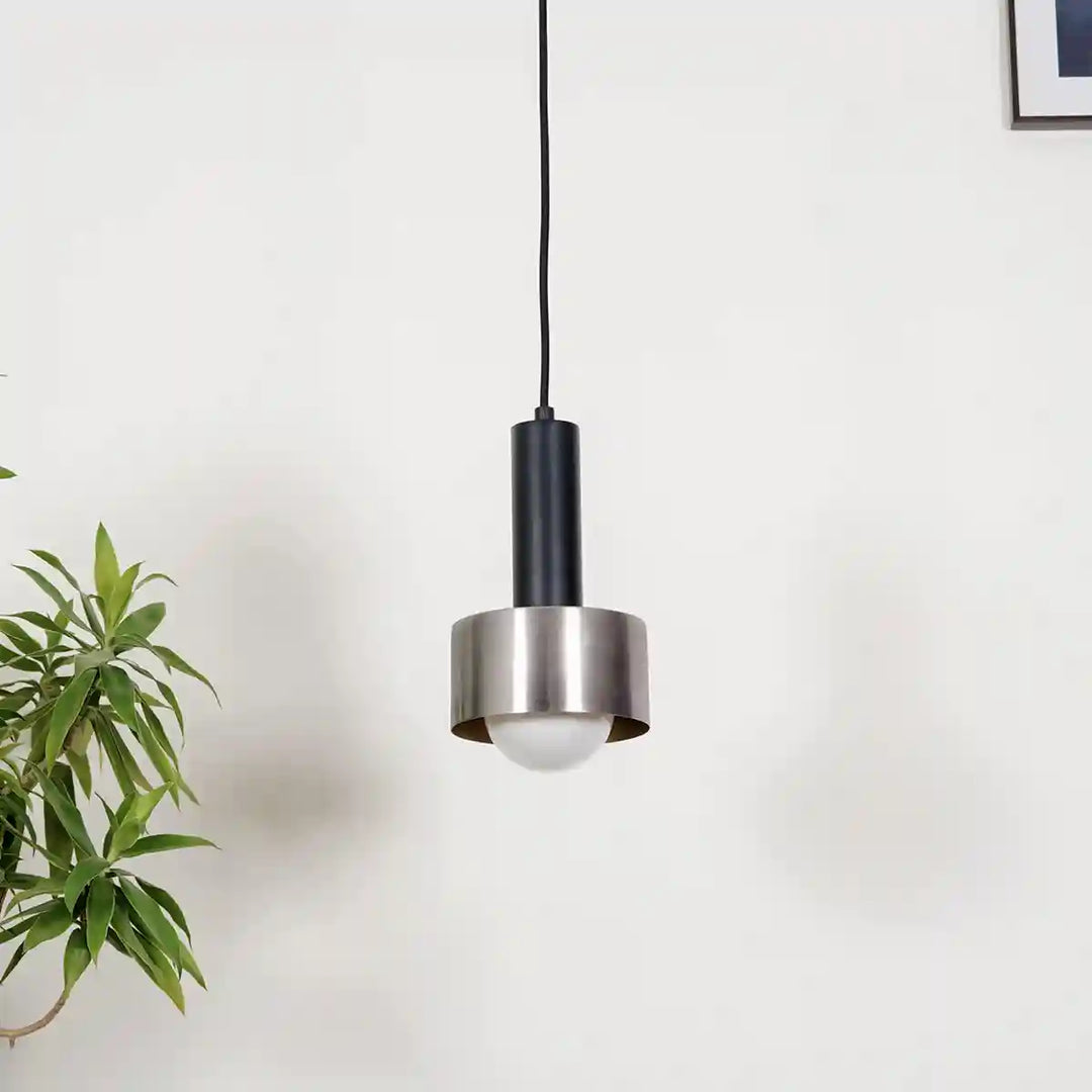 Teun Dual Matte Black and Nickel Hanging Light