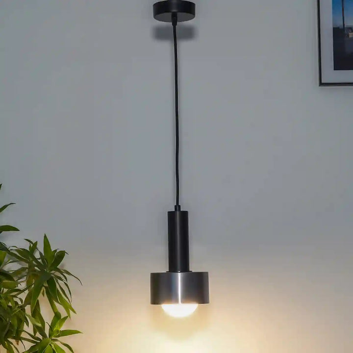 Teun Dual Matte Black and Nickel Hanging Light