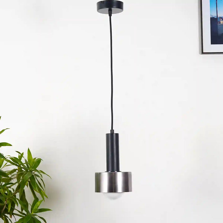 Teun Dual Matte Black and Nickel Hanging Light