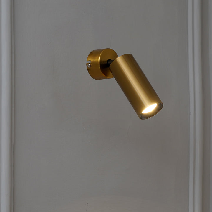 ORTEGA Outdoor Adjustable Wall Light in Brass Finish