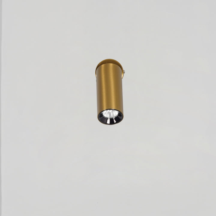 ORTEGA Outdoor Adjustable Wall Light in Brass Finish