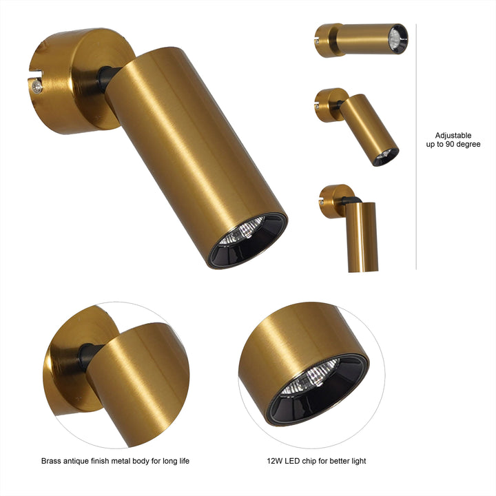 ORTEGA Outdoor Adjustable Wall Light in Brass Finish