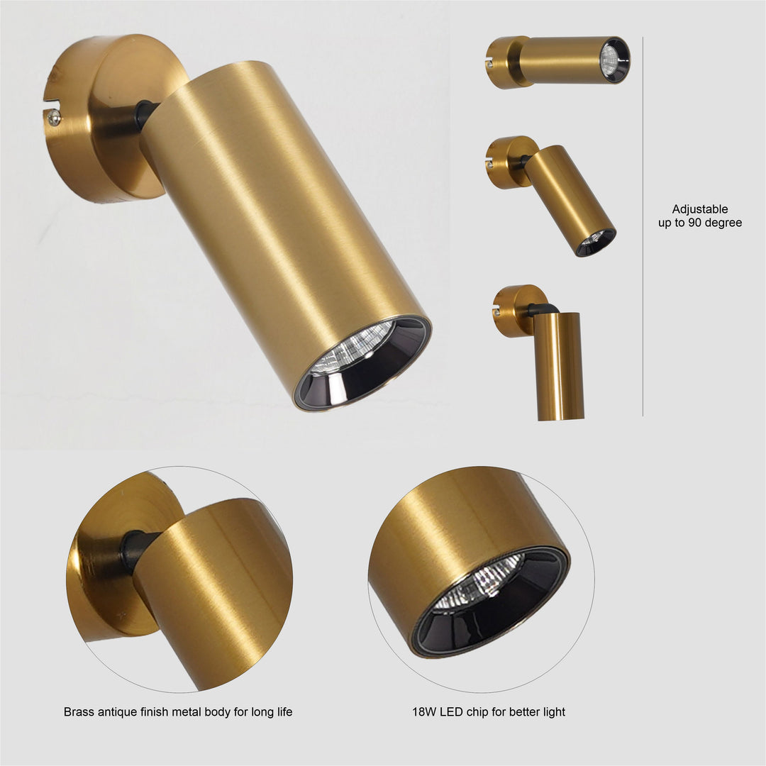 ORTEGA Outdoor Adjustable Wall Light in Brass Finish