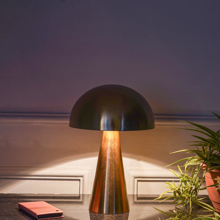 FUNGO Single Light Table Lamp In Brass Finish