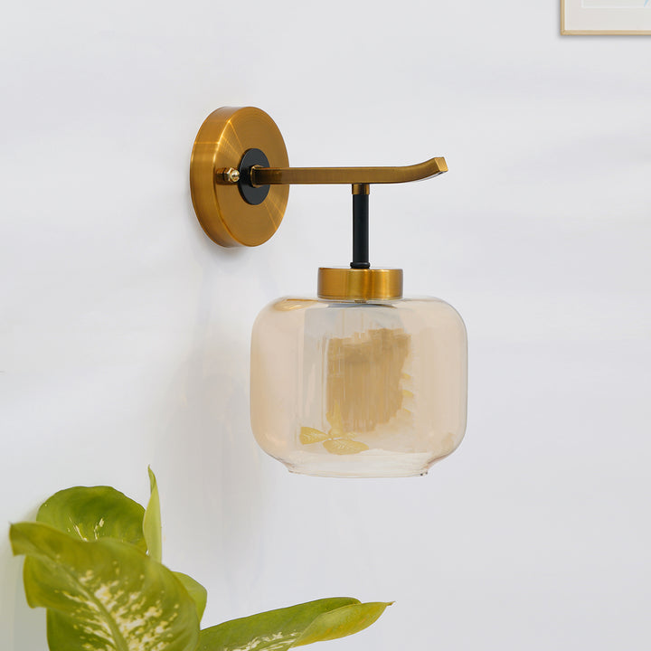 Braelyn Single Arm Glass and Metal wall light